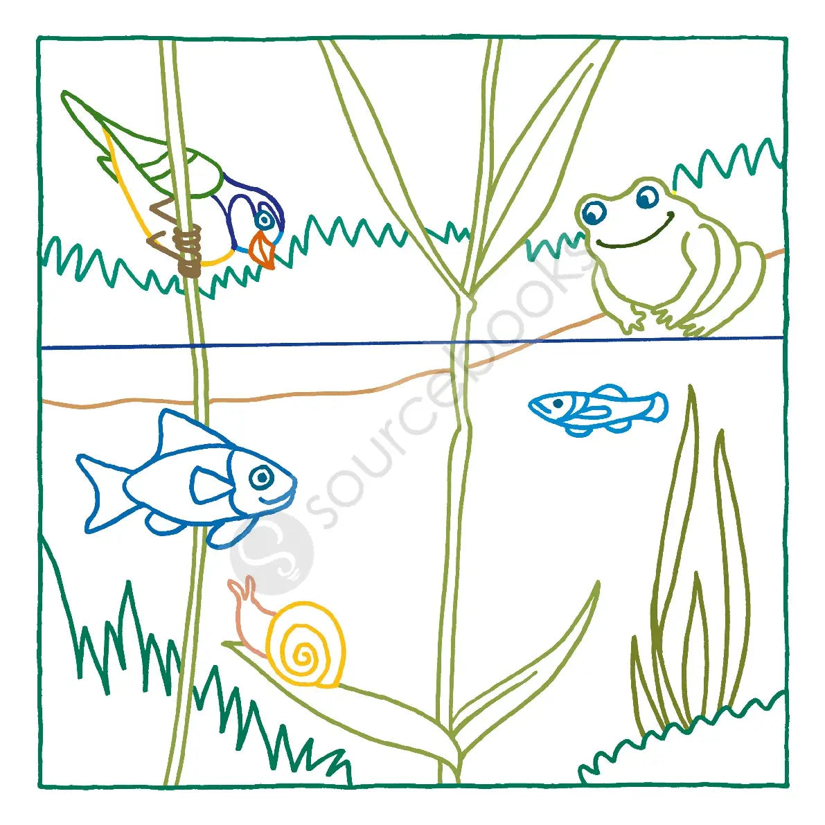 Magic Paper Coloring Book- Nature