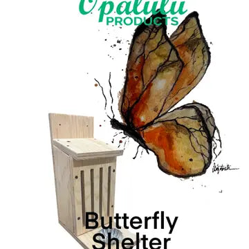 DIY Bird Feeder/House Kits