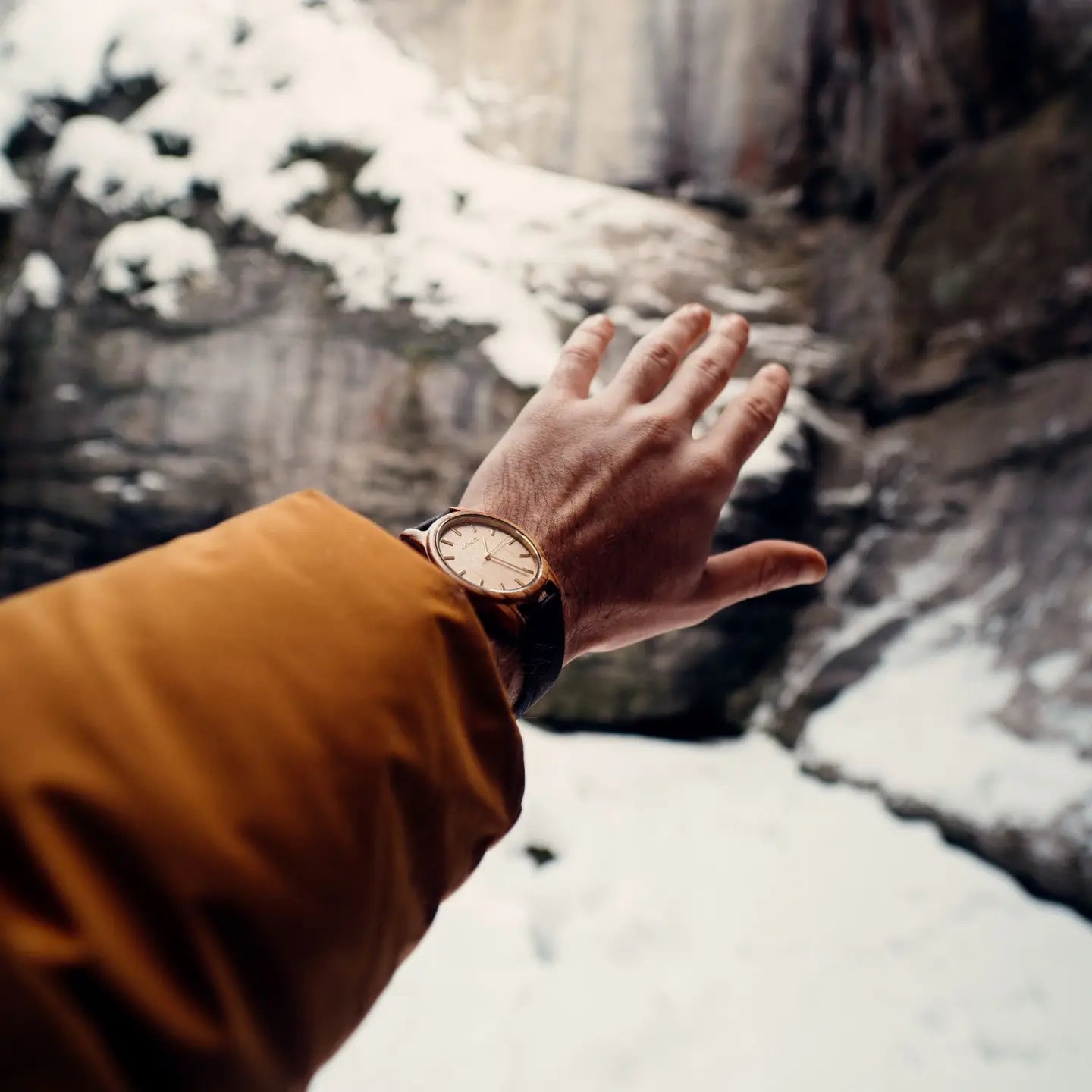 Olive Wood Watch