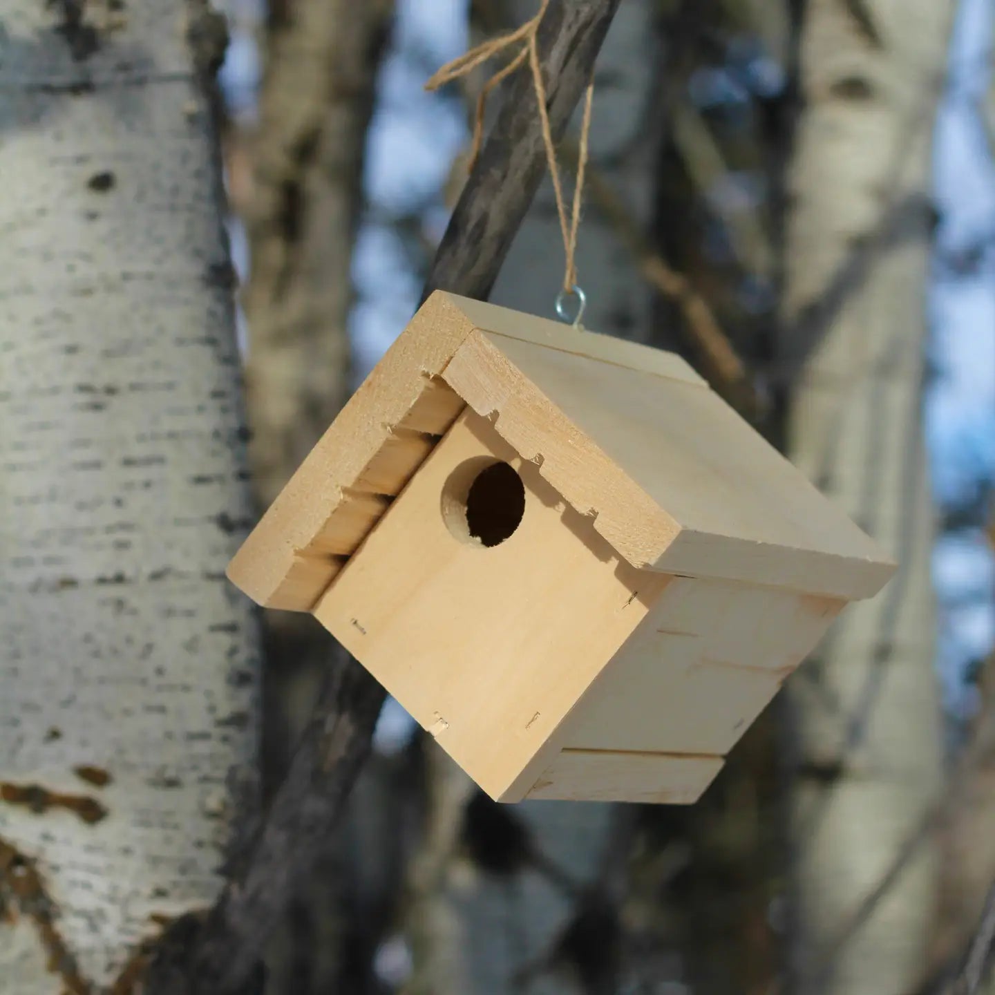Chickadee Bird House