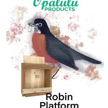 DIY Bird Feeder/House Kits