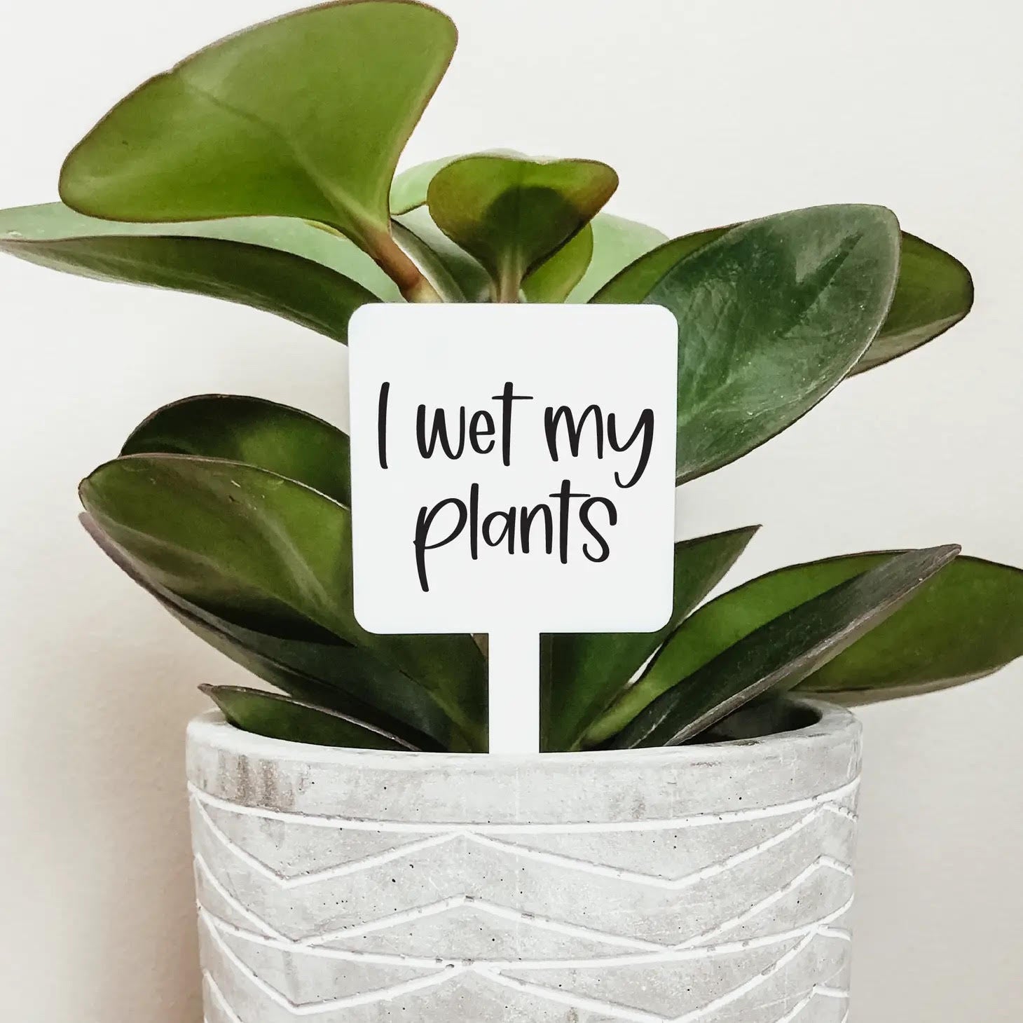 plant-stakes