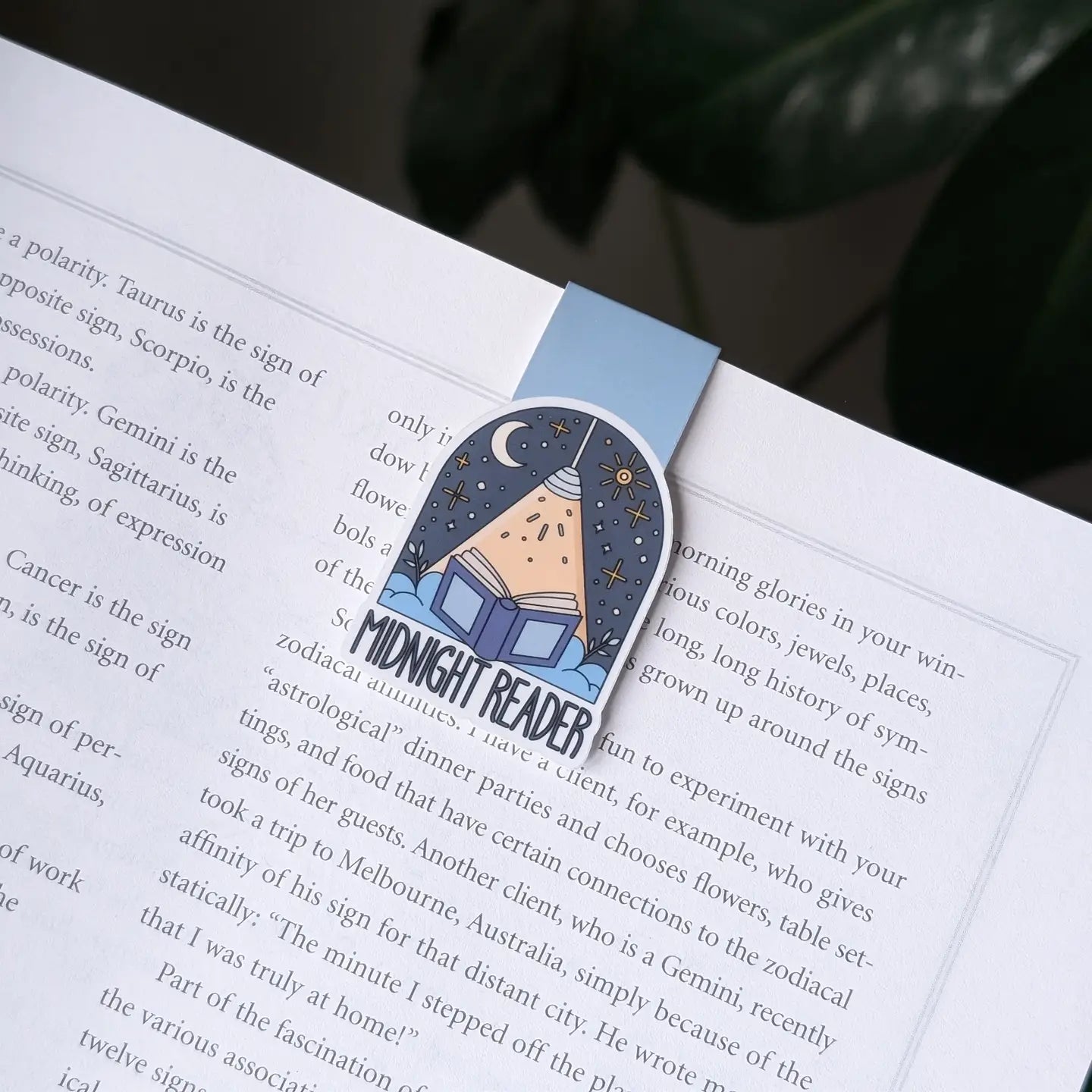 Magnetic Bookmarks