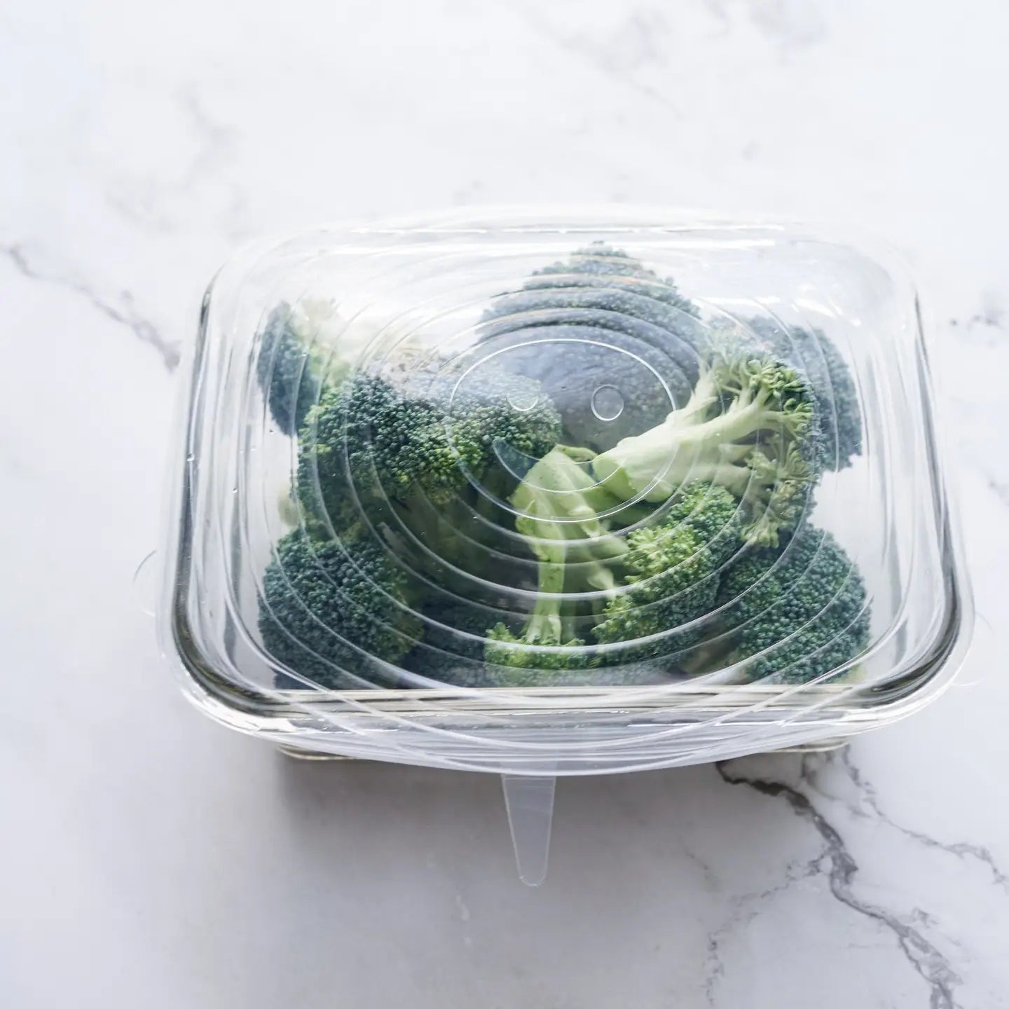 Set of 6 Reusable Dish Covers