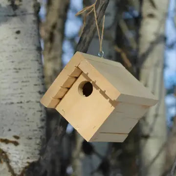 DIY Bird Feeder/House Kits